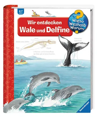 Image de Wir entdecken Wale und Delfine