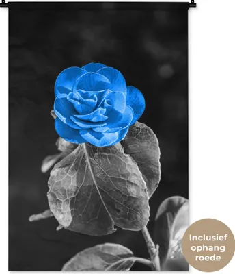 Produktbild von MuchoWow® Wandteppich Wandbehang Blumen - Rose - Schwarz - Weiß - Blau 90x135 cm Tapisserie Dekoration Wandtuch - Baumwolle - Wandskulptur
