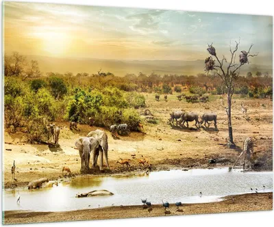 Produktbild von Bilder auf glas - Safari Tiere - 100x70cm - Glasbilder - Wandbilder - Kunstdruck - zum Aufhängen bereit - Wanddekoration aus Glas - Glas Bilder - Wandbild auf Glas - Einteilig - GAA100x70-3880