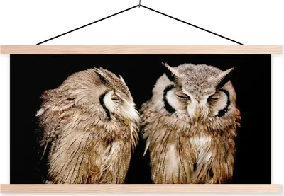 Produktbild von MuchoWow® Textilposter Eule - Vogel - Schwarz 60x30 cm mit holzfarbenen Rahmen - Dekoration