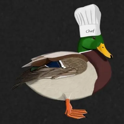 Produktbild von Kochschürze mit Ente und Chefmütze