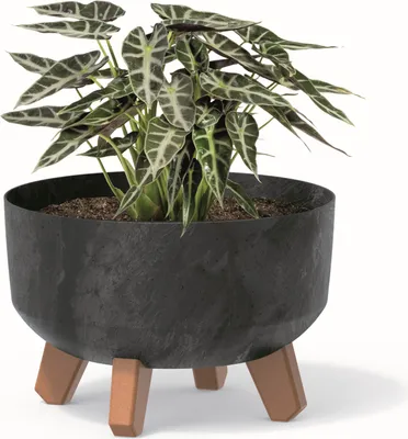 Obrázok produktu pre Bonsai Miska Strom Mini Záhradný kvetináč na nožičkách Kvetináč D 23,5 cm Antracitové plastové kvetináče s vložkou Betónová optika Cachepots