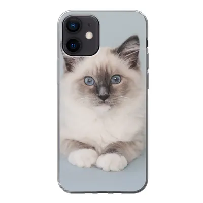 Produktbild von MuchoWow® Handyhülle Schutzhülle Hülle für iPhone 12 Katze - Ragdoll Katze - Blau - Mädchen - Kinder - Jungen - Kind Silikon Softcase Handy Hülle - Schutzhülle