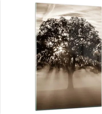 Produktbild von Bilder auf glas - Einteilig - Baum Feld Natur - 80x120cm - Glasbilder - Wandbilder - Bilder - zum Aufhängen bereit - Wanddekoration aus Glas - Glas Bilder - Wandbild auf Glas - GPA80x120-3811