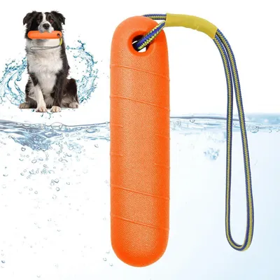 Produktbild von Schwimmspielzeug für Hunde Wasserspielzeug 22cm schwimmfähig robust