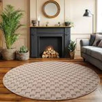 A round rug is placed on a wooden floor in front of a fireplace with a fire burning. There are plants and a sofa in the background.