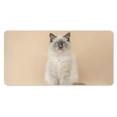 Produktbild von MuchoWow® Mauspad Mousepad Katze - Siamese - Porträt - Mädchen - Kinder - Jungen - Kinder 60x30 cm - Mousepads - Maus Mat - Pad - Mausunterlage - Nachhaltig