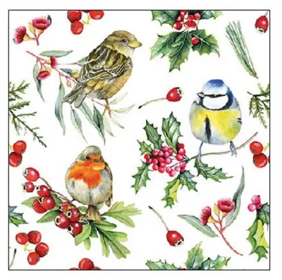 Productafbeelding van Ambiente cocktailservetten, 25 x 25 cm – Vogels in de winter