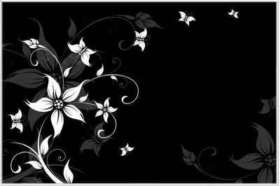Produktbild von Wallario Wandbild Blumenranke in Schwarz-Weiß, Größe: 61 x 91,50 cm, Poster mit weißem Aluminiumrahmen