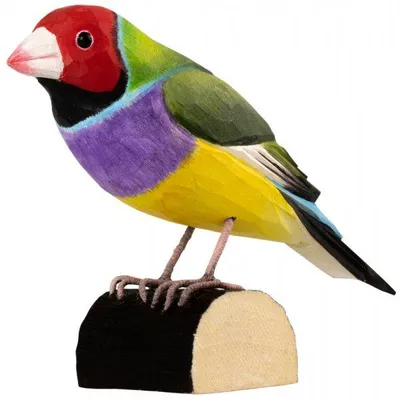 Produktbild von Wildlife Garden Dekovogel Gouldamadine Bunt