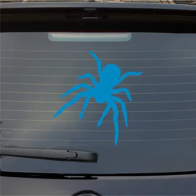 Produktbild von Heckscheibenaufkleber Spinne Spider giftig krabbeln 51x54 cm Hellblau Auto Aufkleber Sticker