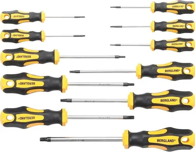 Image de BGS DIY Jeu de tournevis Torx T6 - T40