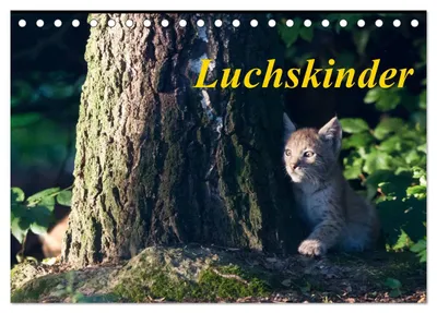 Produktbild von Luchskinder (Tischkalender 2027 DIN A5 quer), CALVENDO Monatskalender