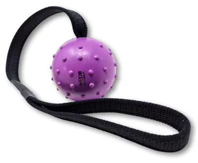 Image de Jouets pour chiens - Ballon en caoutchouc naturel avec corde