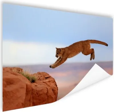 Produktbild von MuchoWow® Poster Bergpuma 120x80 cm - Bilder