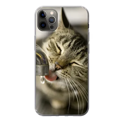 Produktbild von MuchoWow® Handyhülle Schutzhülle Hülle für iPhone 12 Pro Max Katze - Wasserhahn - Getränk Silikon Softcase Handy Hülle - Hartschale