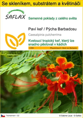 Obrázek produktu pro SAFLAX Kultivační sada - Paví keř / Pýcha Barbadosu - Caesalpinia pulcherrima - 10 Semena - S mini skleníkem, pěstebním substrátem a 2 květináči