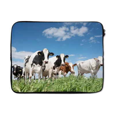 Produktbild von MuchoWow® Laptop Hülle 17 Zoll Laptoptasche Kühe - Landleben - Weide - Natur - Tiere - Zipper - Schutzabdeckung