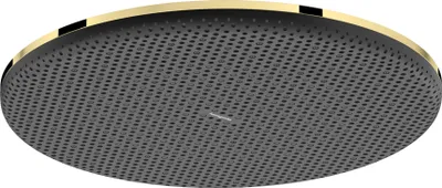 Immagine prodotto di hansgrohe Raindance Alive S Douche de tête 300 1jet EcoSmart, 24521990, 24521990