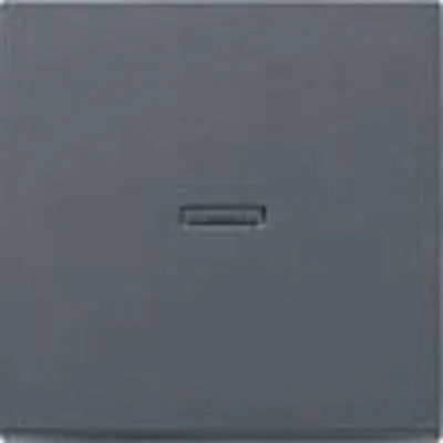 Produktbild von Gira Wippe Kontroll System 55 anthrazit, 1 Stk.