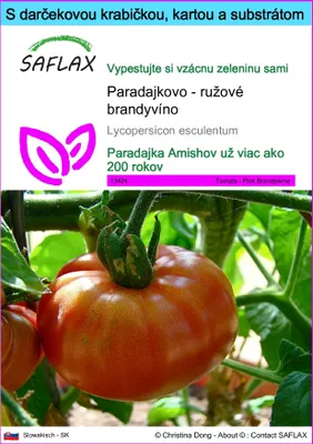 Obrázok produktu pre SAFLAX Darčeková sada - Paradajkovo - ružové brandyvíno - Lycopersicon esculentum - 10 Semená - S darčekovou krabičkou, prepravným štítkom, darčekovou kartou a pestovateľským médiom