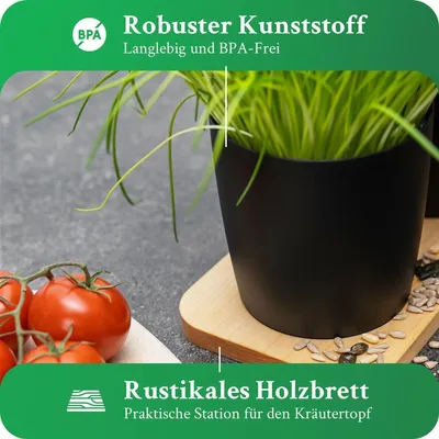 Produktbild von Novaliv Stilvolle 6er Set Kräutertopf mit Holzunterlage für jede Fensterbank, Für frische Küchenkräuter, Kräutergarten für die küche, Kräuterbeet indoor, Zimmerpflanzen, Pflanzentopf, Pflanzschale