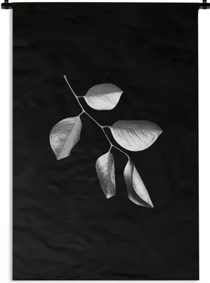 Produktbild von MuchoWow® Wandteppich Wandbehang Zweig mit Blättern auf schwarzem Hintergrund - schwarz und weiß 120x180 cm Tapisserie Dekoration Wandtuch - Schlafzimmer - Dekorationen für das Haus