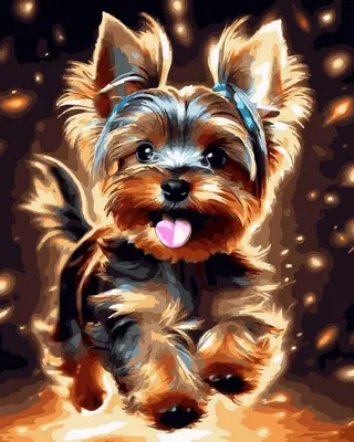 Imagen del producto de Kit de pintura por números, lienzo negro, alegre Yorkshire Terrier, 40 x 50 cm