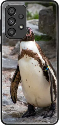 Produktbild von König Design Hülle kompatibel mit Samsung Galaxy A33 5G Kunststoff Soft Handyhülle - Handy Case Pinguin