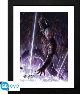 Immagine prodotto di The Witcher - Geralt - Stampa d'arte con cornice