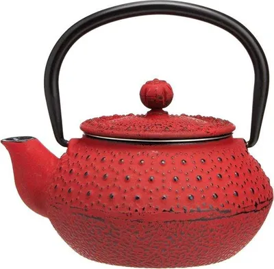 Image de Théière en fonte émaillée 3 L, compatible induction