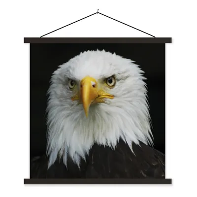 Produktbild von MuchoWow® Textilposter Adler - Schwarz - Weiß 40x40 cm mit schwarzem Rahmen - Fotos