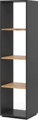 Produktbild von Raumteiler Vicco Ludus Anthrazit/Goldkraft Eiche 36.8 x 144.9 cm, Model 56305
