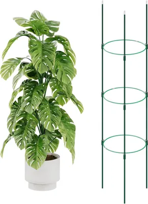 Imagen del producto de Soporte para tomates, 120 cm, construcción robusta, ideal para jardín y balcón