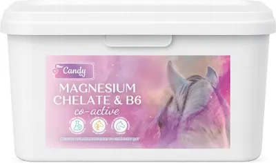 Zdjęcie produktu dla Pasza uzupełniająca BIOFEED Chelat magnezu Witamina B6 dla koni