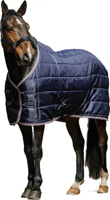 Produktbild von Equithème Aztec Stalldecke 200G