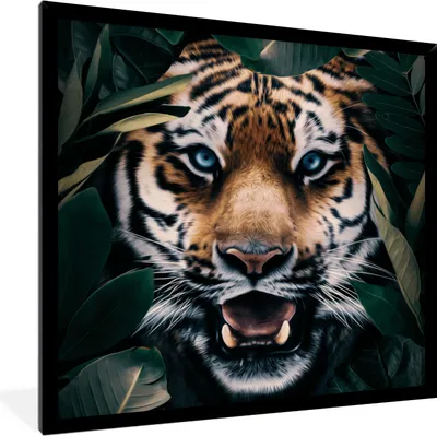 Produktbild von MuchoWow® MuchoWow® Gerahmtes Poster Tiger - Blatt - Tiere 40x40 cm - Poster mit zchwarzem Bilderrahmen - Mit Rahmen - Wanddekoration Schlafzimmer