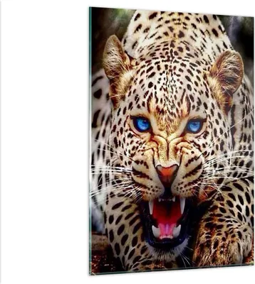 Produktbild von Bilder auf glas - Einteilig - Panther Tier - 80x120cm - Glasbilder - Wandbilder - Bilder - zum Aufhängen bereit - Wanddekoration aus Glas - Glas Bilder - Wandbild auf Glas - GPA80x120-3506