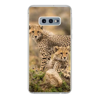 Produktbild von MuchoWow® Handyhülle Schutzhülle Hülle für Samsung Galaxy S10e Leopard - Jungtier - Natur Silikon Softcase Handy Hülle - Handy