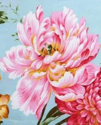 Produktbild von Malen nach Zahlen: Rosa Pfingstrose, 40x50 cm, auf Leinwand, gerahmt. Kreatives Hobby