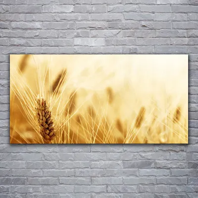 Produktbild von Glasbilder 120x60 Wandbild Druck auf Glas Weizen Pflanzen