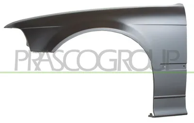Produktbild von Prasco Kotflügel vorne links BM0143004