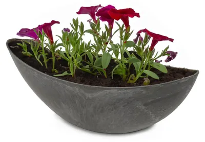 Produktbild von Große Pflanzschale oval 39 cm für draussen Dekoschale schwarz