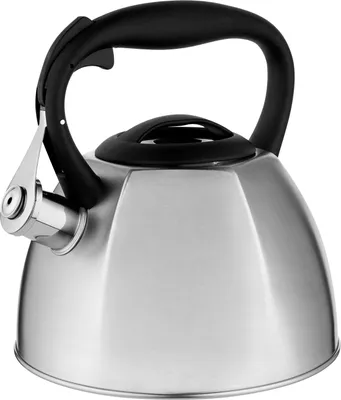 Produktbild von FLORINA Wasserkessel (2,5 l) | Edelstahl Teekessel DAKOTA | Flötenkessel mit Nylongriff | Kratzfester | Wasserkocher für Induktionsherd, Gasherd und Elektroherd | Farbe: Silber