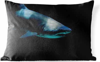 Produktbild von MuchoWow® Outdoor Kissen - Hai - Makro - Wasser - 60x40 cm - Wetterfest - Lounge Kissen - Zierkissen - Kissen für Innenräume