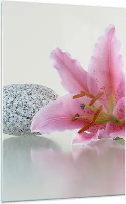 Produktbild von Bilder auf glas - Einteilig - Lilienblüte grün Pflanze - 70x100cm - Glasbilder - Wandbilder - Bilder - zum Aufhängen bereit - Wanddekoration aus Glas - Glas Bilder - Wandbild auf Glas - GPA70x100-0485