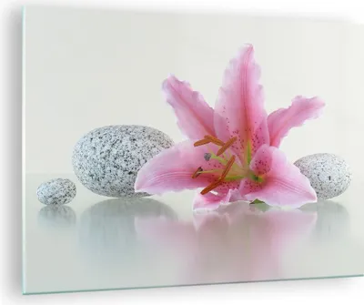 Produktbild von Bilder auf glas - Lilienblüte grün Pflanze - 70x50cm - Glasbilder - Wandbilder - Kunstdruck - zum Aufhängen bereit - Wanddekoration aus Glas - Glas Bilder - Wandbild auf Glas - GAA70x50-0485