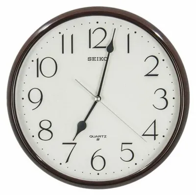 Immagine prodotto di Orologi Seiko Unisex Plastik QXA651B