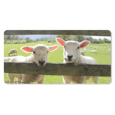 Produktbild von MuchoWow® Schreibtischunterlage Schafe - Tiere - Bauernhof 80x40 cm - XXL Mauspad - Gaming Mauspad