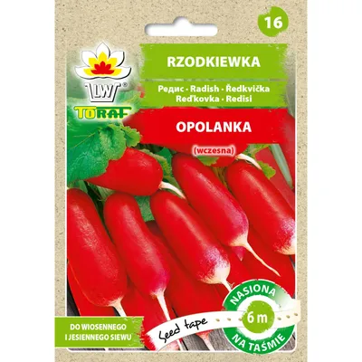 Image de Radis OPOLANKA (ruban 6m) Toraf